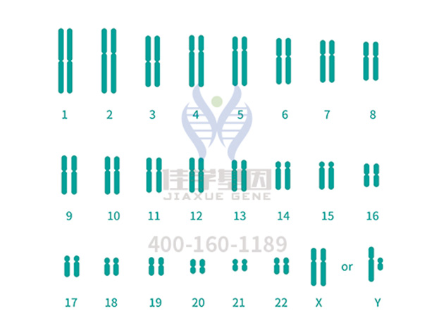 【佳学基因案例】马凡氏综合征基因检测、基因解码